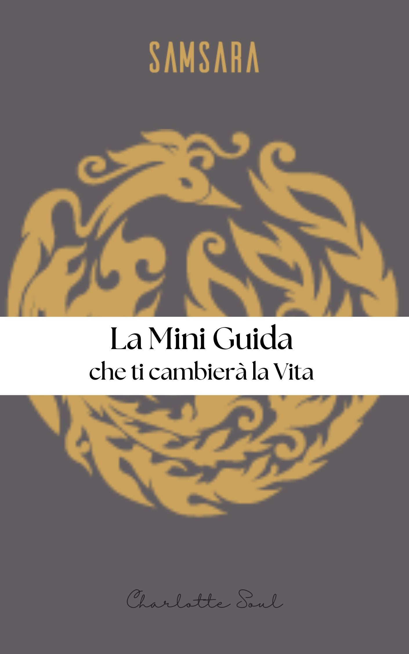 La Mini Guida che ti cambierà la vita