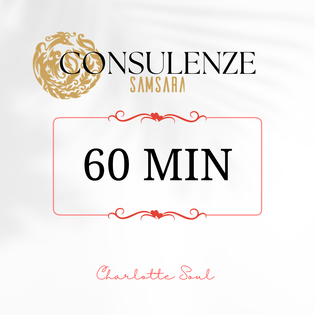 60 MIN Consulenza